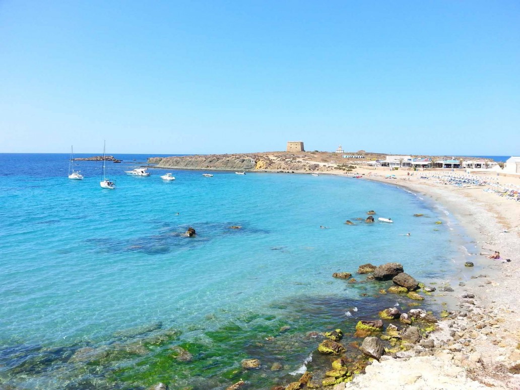 Fish bank in underwater marine reserve in Tabarca island, Spain Photos